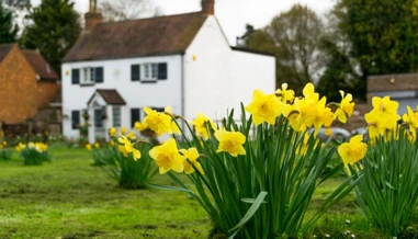 small cottage with flower garden