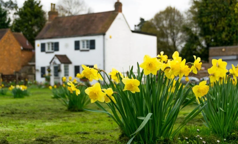 small cottage with flower garden