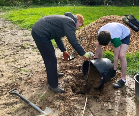 Styx Scout - Orchard Planting